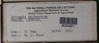 Image Associated With the Occurence